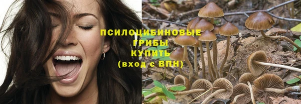 гашиш Богородск