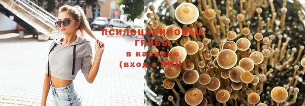 амф Богородицк