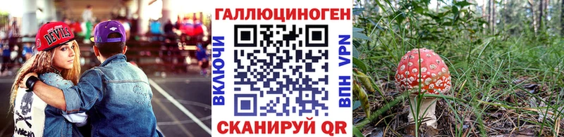 закладка  Каменск-Уральский  Псилоцибиновые грибы мицелий 